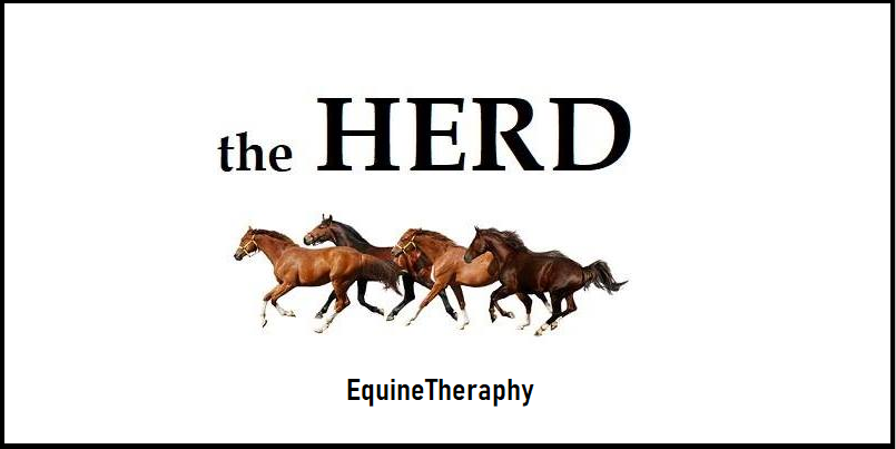 The Heard Equine Therapy